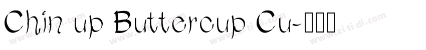 Chin up Buttercup Cu字体转换